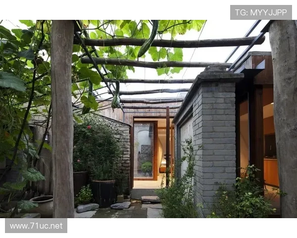 罗纳尔迪尼奥居然把豪宅改成了游乐场，这日常也太让人羡慕了吧？